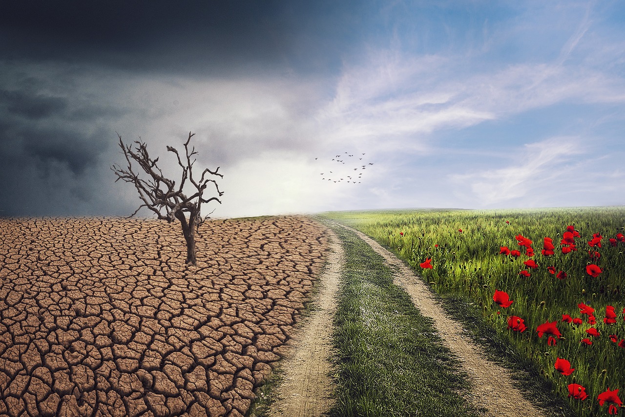22 States Sue New York Over Climate Fund, Calling It an ‘Unconstitutional Shakedown’