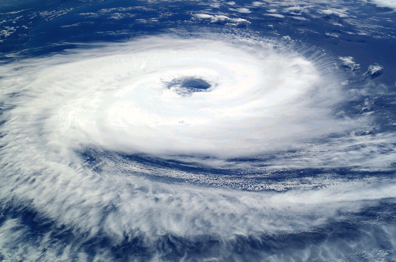 Post-Hurricane Coverage and Claims Adjustment Issues​
