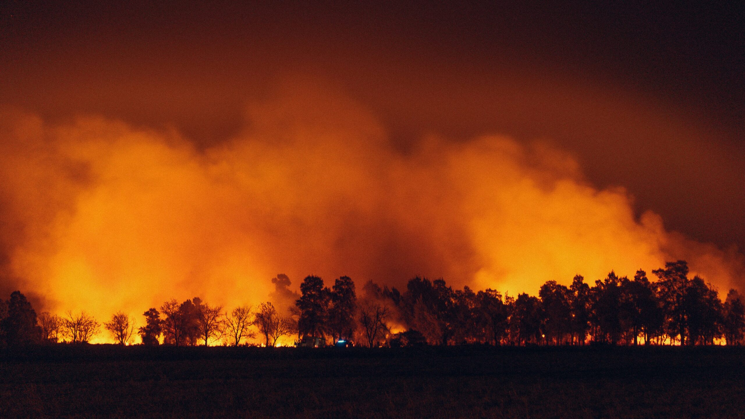 Southern California wildfire aftermath and litigation involving utilities and public entities.